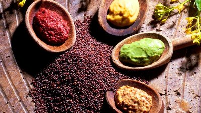 Atelier de création de la moutarde à la Cité Internationale de la Gastronomie et du Vin