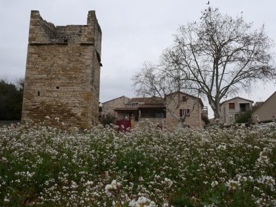 Château de Garrigues Sainte-Eulalie