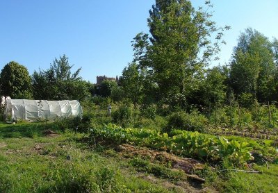 Potager du Bouche  à Oreille