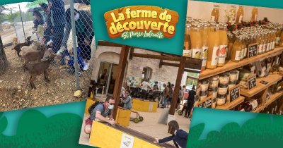 Ferme de Découverte de Saint-Pierre-Lafeuille