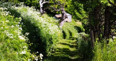 Sentier piéton - R1 - Forêt de Villarlurin Départ du Villard
