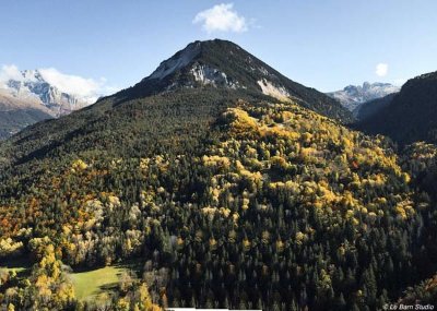 Forêt de la Dent du Villard