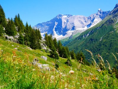 Itinéraire pédestre : L'Alpage de Lécheron