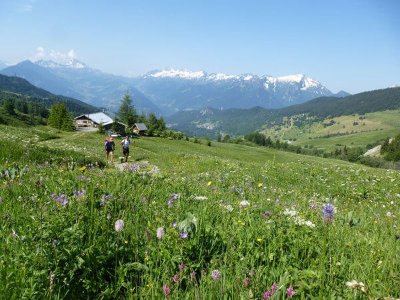 Grand Tour de Tarentaise - Rando pédestre 27 jours