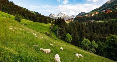 Sentier piéton - V4 - Petite Rosière - Départ Méribel