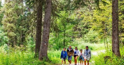 Sentier piéton - R8 - Creux Loup  Départ de l'Altiport (fermé été 2025)