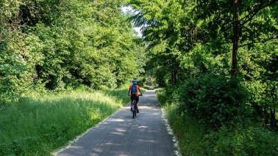 Circuit VTT 7 - Entre Vignes et Vergers