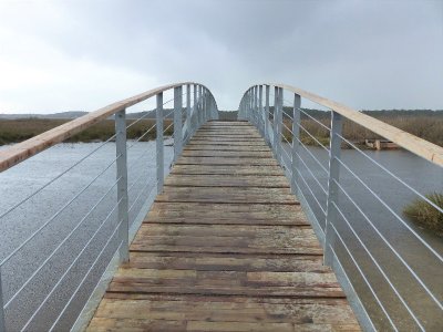 Les prés salés, entre terre et mer