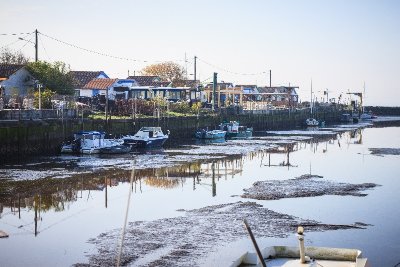Boucle du Porge, entre océan, pins et bassin