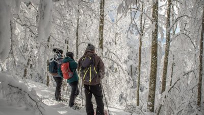 Journée en raquettes à neige