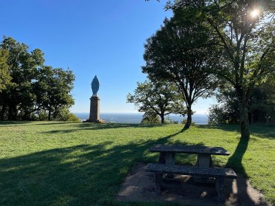 Entre vignes et bocages