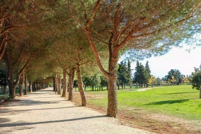La promenade des Annamites