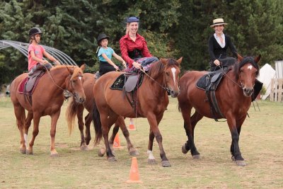 Les Traits de Provence