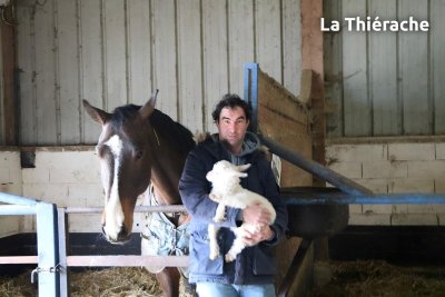 Ecuries de Macquigny et Ferme pédagogique