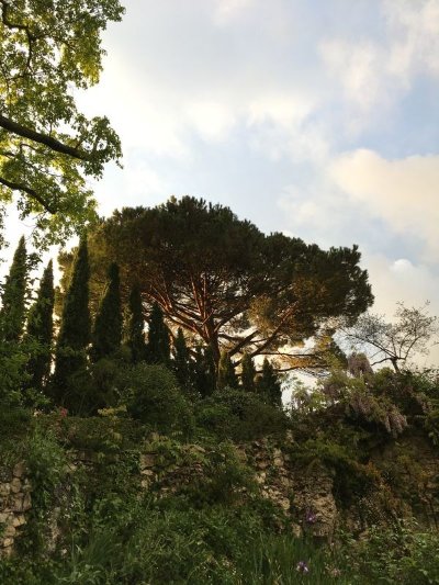 Les Jardins de Sardy