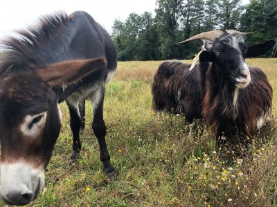 Les Jardins de l'Humanité