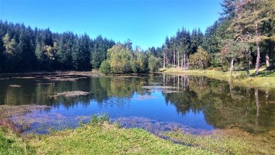 VTT - Gravel - A travers champs et forêts - 28 km - circuit 61
