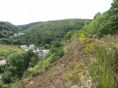 Le chemin des Etalards