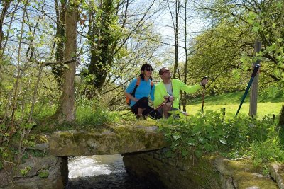 Entre vallons et haies bocagères
