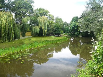 L'Erdre à Vault