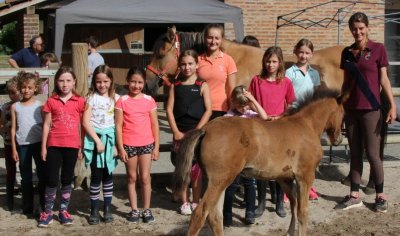 Ecuries des Marronniers