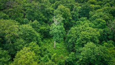 Pont-Sainte-Maxence à Compiègne