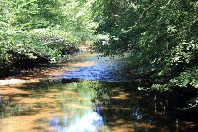 Parcours balisé sentier botanique