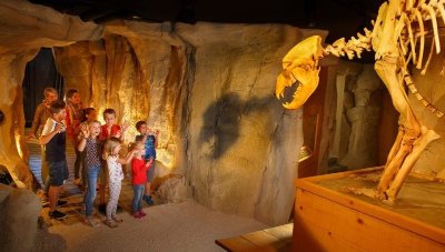 Musée de l'ours des cavernes