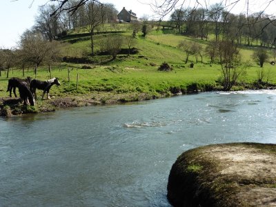 Les gorges de la Vire
