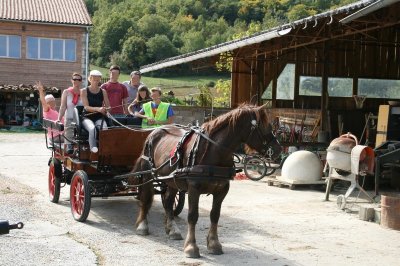 LA FERME EQUESTRE DU CONTE