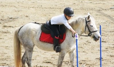 CENTRE EQUESTRE DU VOLVESTRE