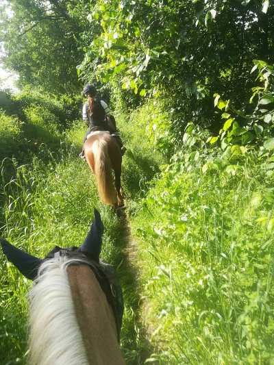 CLUB HIPPIQUE DU BOUSQUET