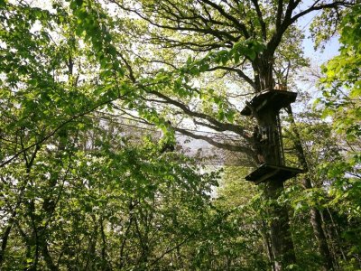 Parc Aventure du Thureau