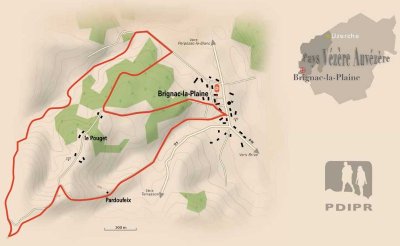 La forêt de Brignac