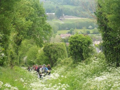 LE-MESNIL-MAUGER : Les Trois clochers - 7,8KM