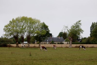 BELLOU : Autour du Manoir de Bellou - 15KM