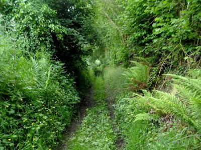 OUILLY-LE-VICOMTE : Panorama sur la vallée de la Touques - 5,9KM