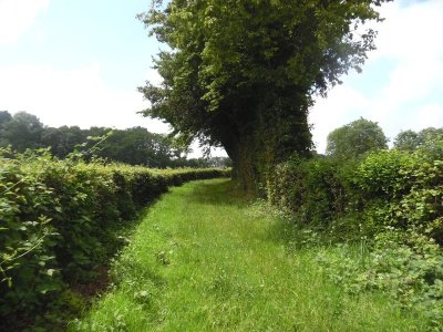SAINTE-FOY-DE-MONTGOMMERY : Sur les pas de Fernand Léger - 17,3 KM