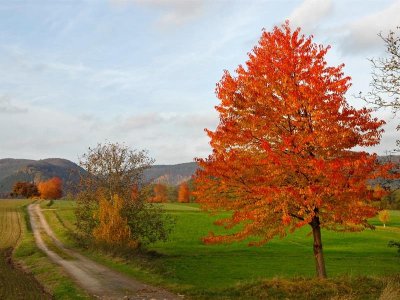 Circuit VTT du Schoeneck