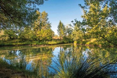 Domaine de la Bastide