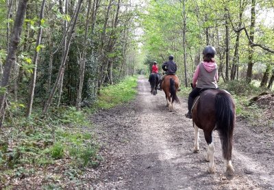 Balades avec Cheval Saint Laud
