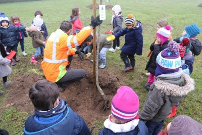 Verger conservatoire et Aire Terrestre Educative d'Is-sur-Tille