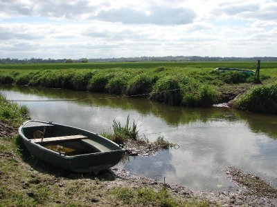 Randonnée Les cigognes des marais de l'Aure