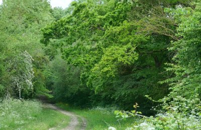 Les côteaux de la Muance