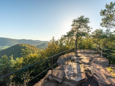 Grande traversée pédestre des Vosges au fil des GR