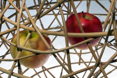 Stage de vannerie : panier rond