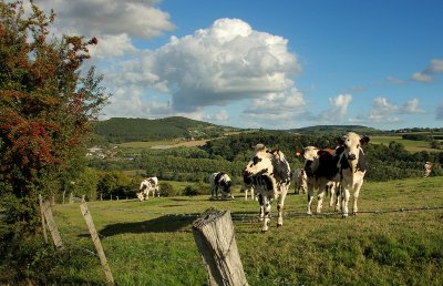 Clécy et ses villages