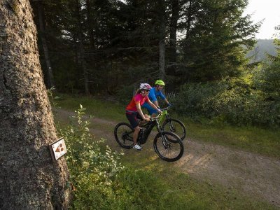 Circuit VTT 9 - Les hauteurs d'Ammerschwihr