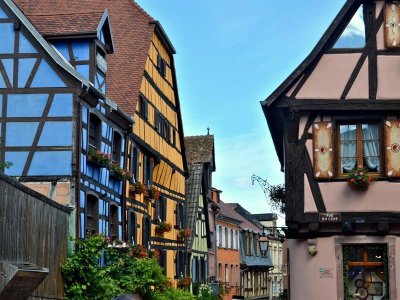 Circuit rando - de Kientzheim à Riquewihr par le chêne de la Chapelle