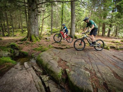 Circuit VTT 3 - Etang du Vallon
